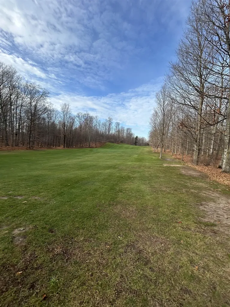 Lot 7 White Tail Drive Kearney Township MI 49615
