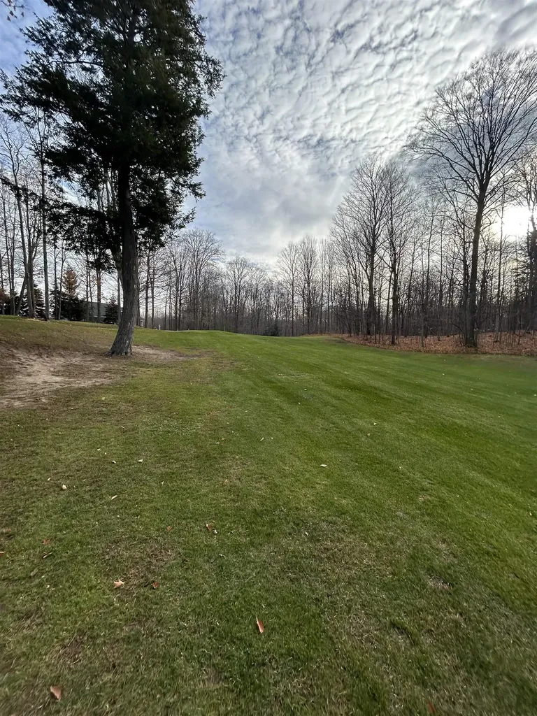 Lot 7 White Tail Drive Kearney Township MI 49615