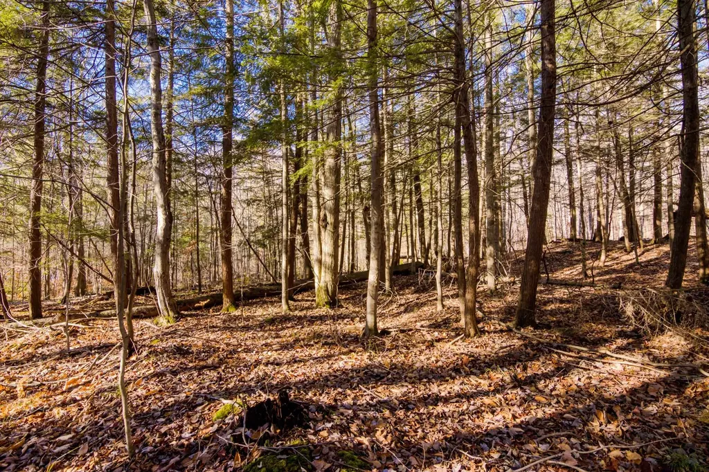 5877 E Lake Five Lane Excelsior Township MI 49646