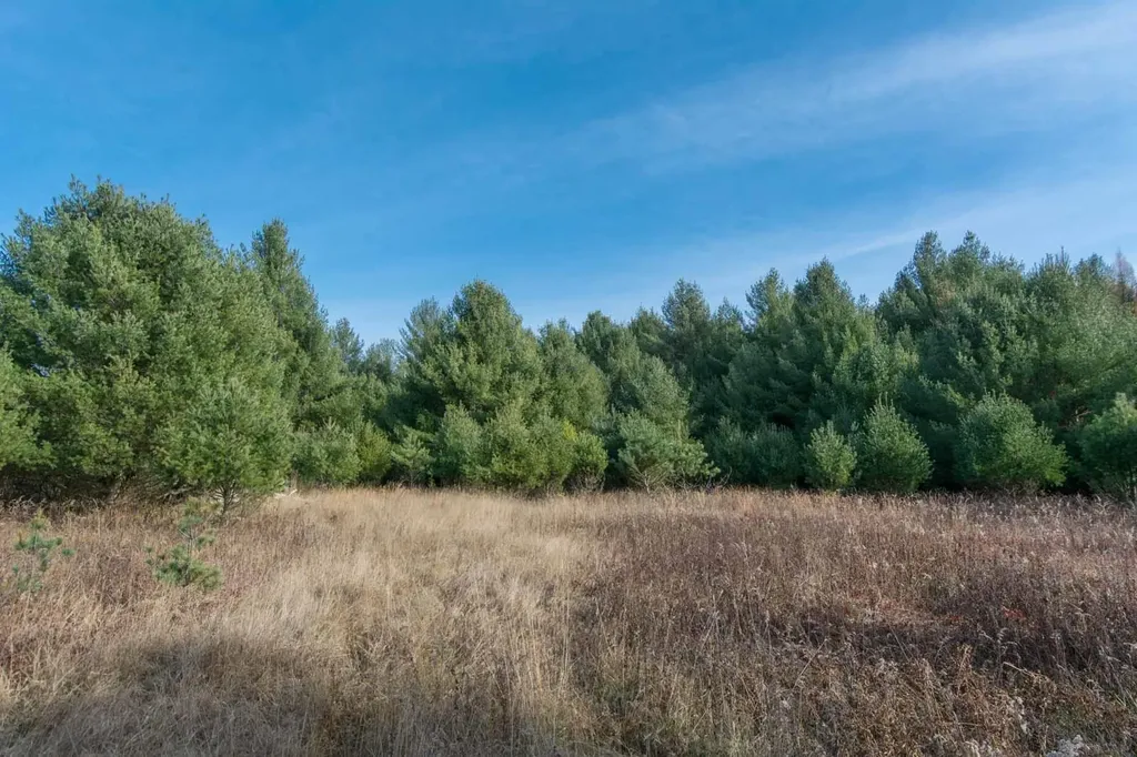 0000 E Bellinger Road Kasson Township MI 49621