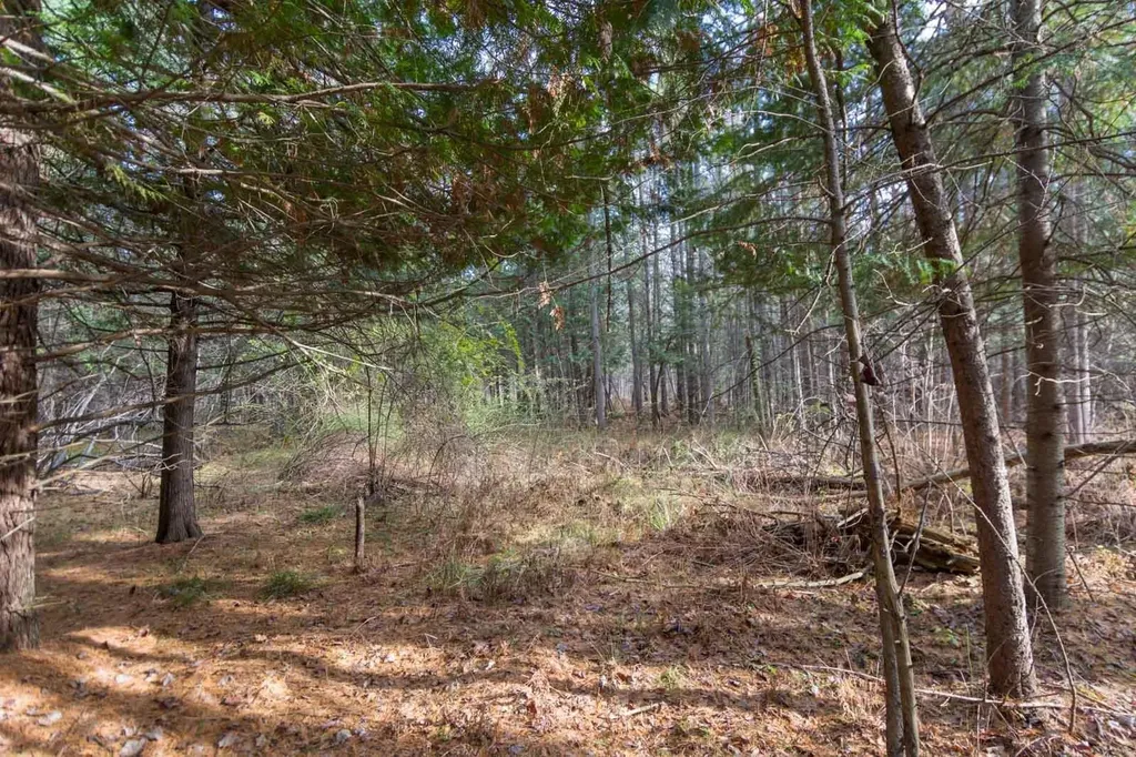0000 E Bellinger Road Kasson Township MI 49621