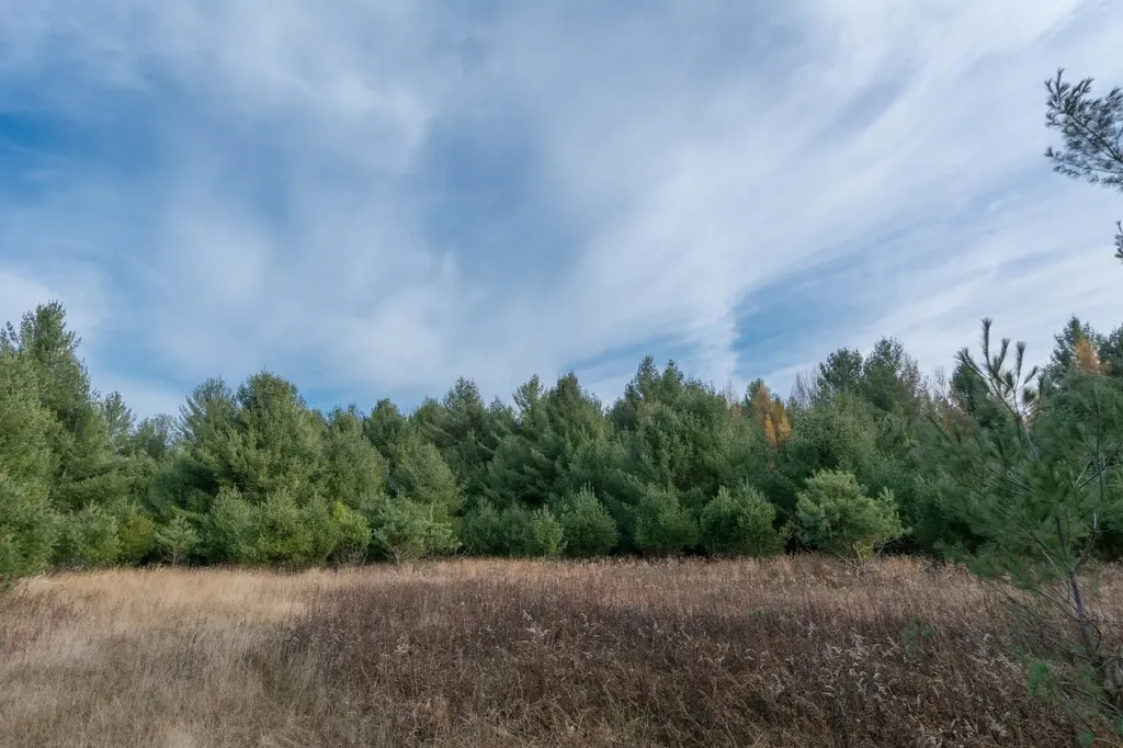 0000 E Bellinger Road Kasson Township MI 49621