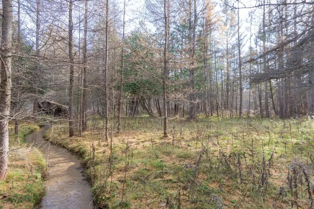 0000 E Bellinger Road Kasson Township MI 49621