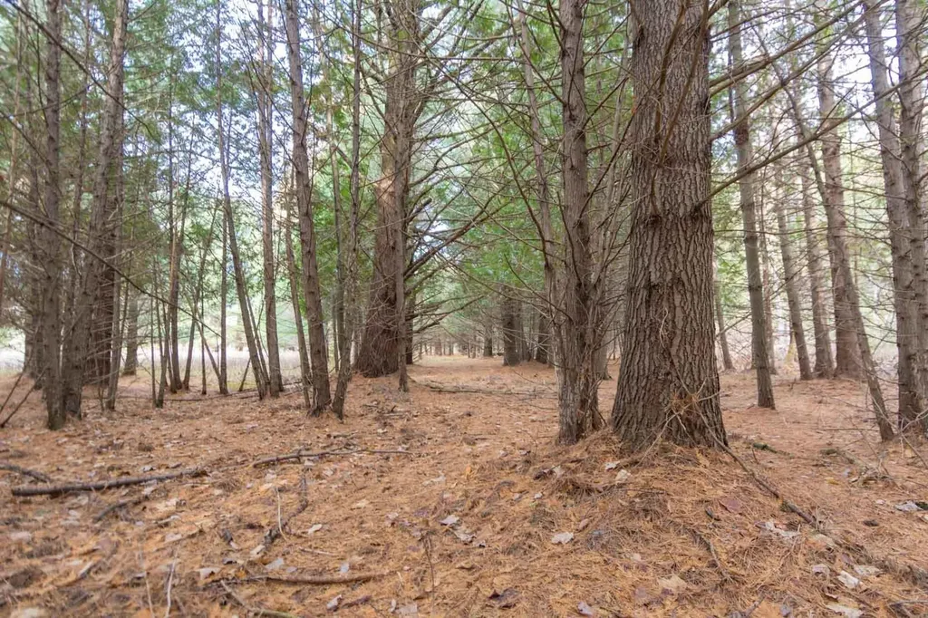 0000 E Bellinger Road Kasson Township MI 49621