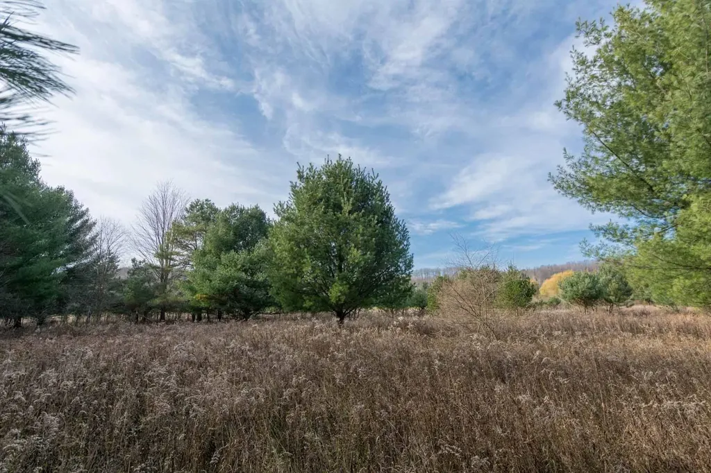 0000 E Bellinger Road Kasson Township MI 49621