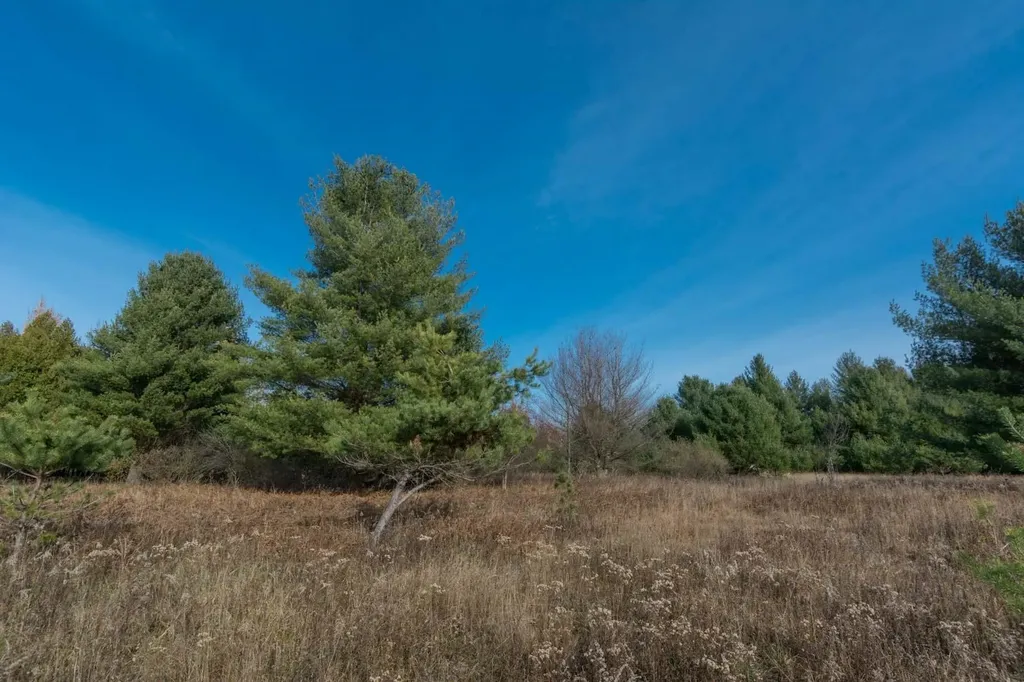 0000 E Bellinger Road Kasson Township MI 49621