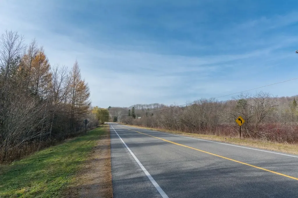 0000 E Bellinger Road Kasson Township MI 49621