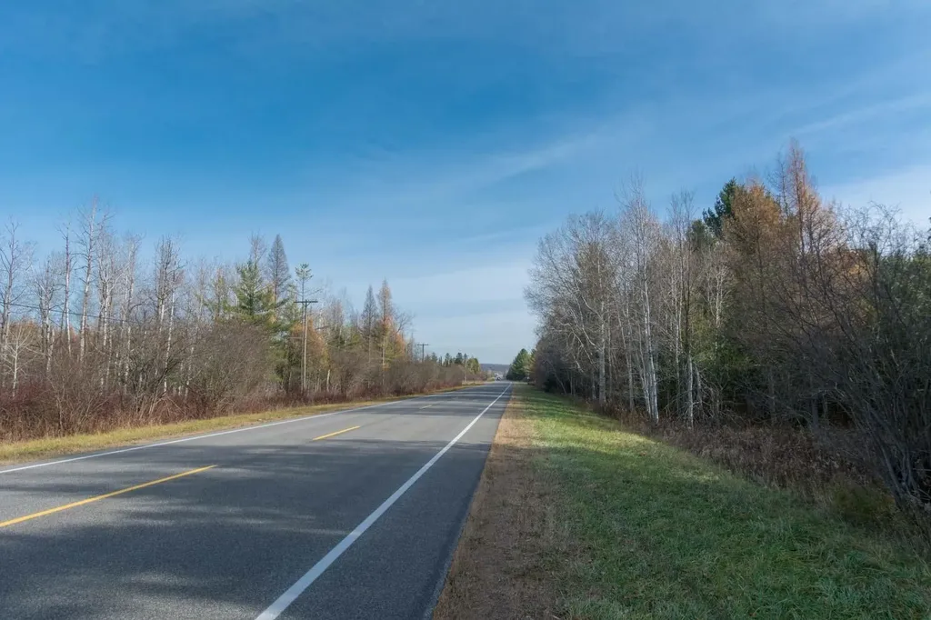 0000 E Bellinger Road Kasson Township MI 49621
