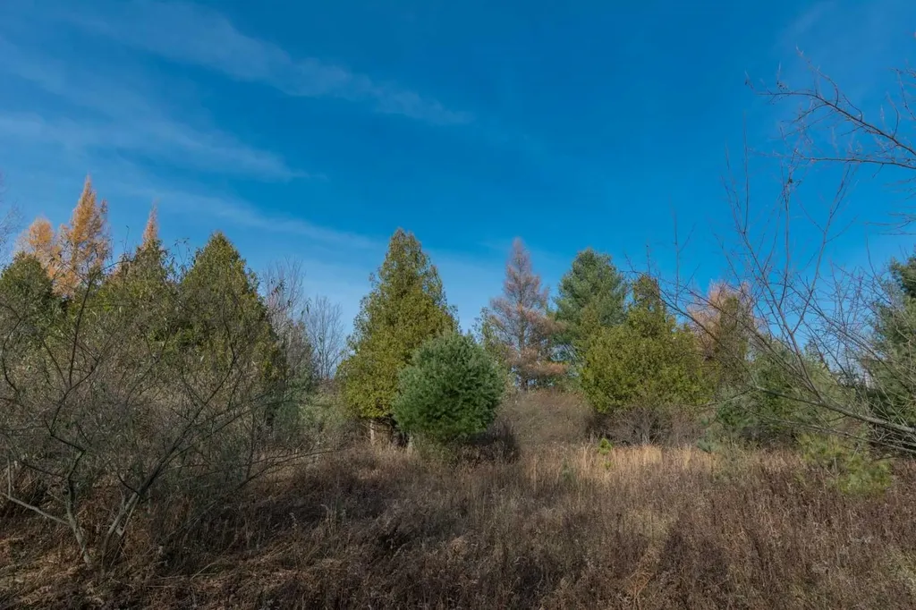 0000 E Bellinger Road Kasson Township MI 49621