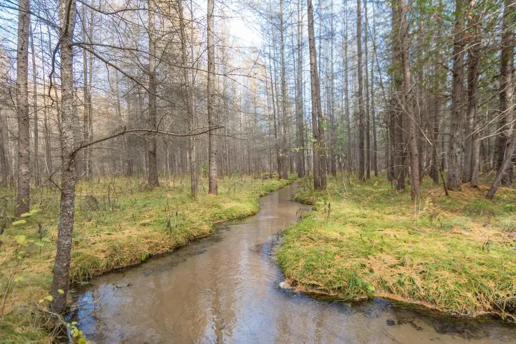 0000 E Bellinger Road Kasson Township MI 49621