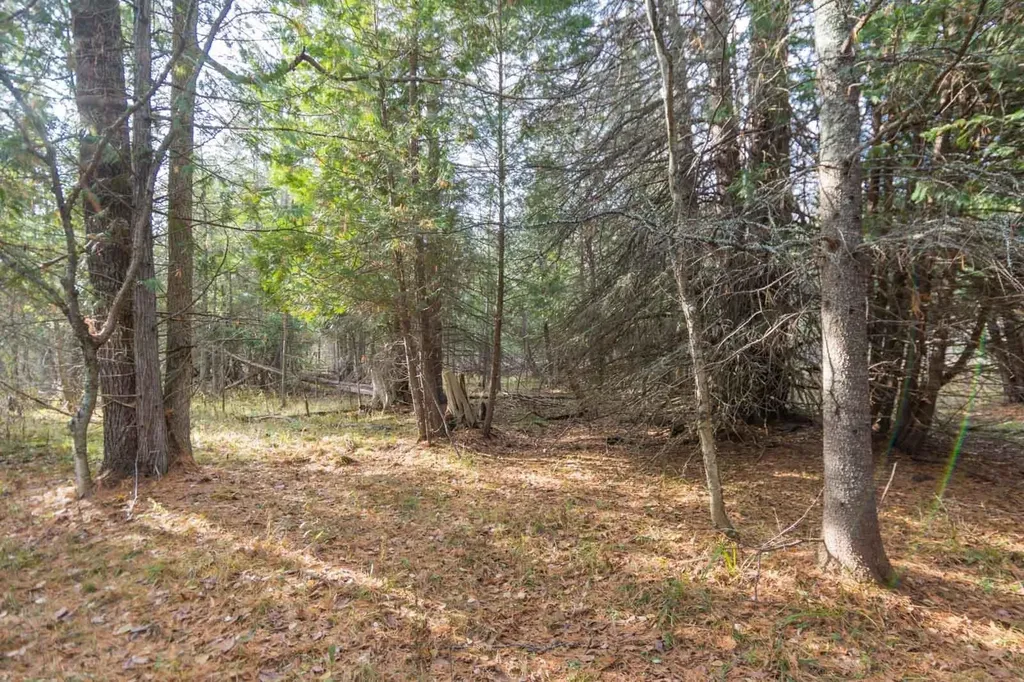 0000 E Bellinger Road Kasson Township MI 49621