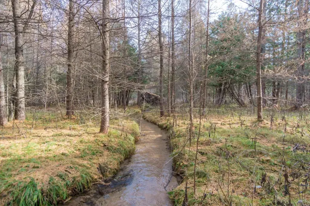 0000 E Bellinger Road Kasson Township MI 49621