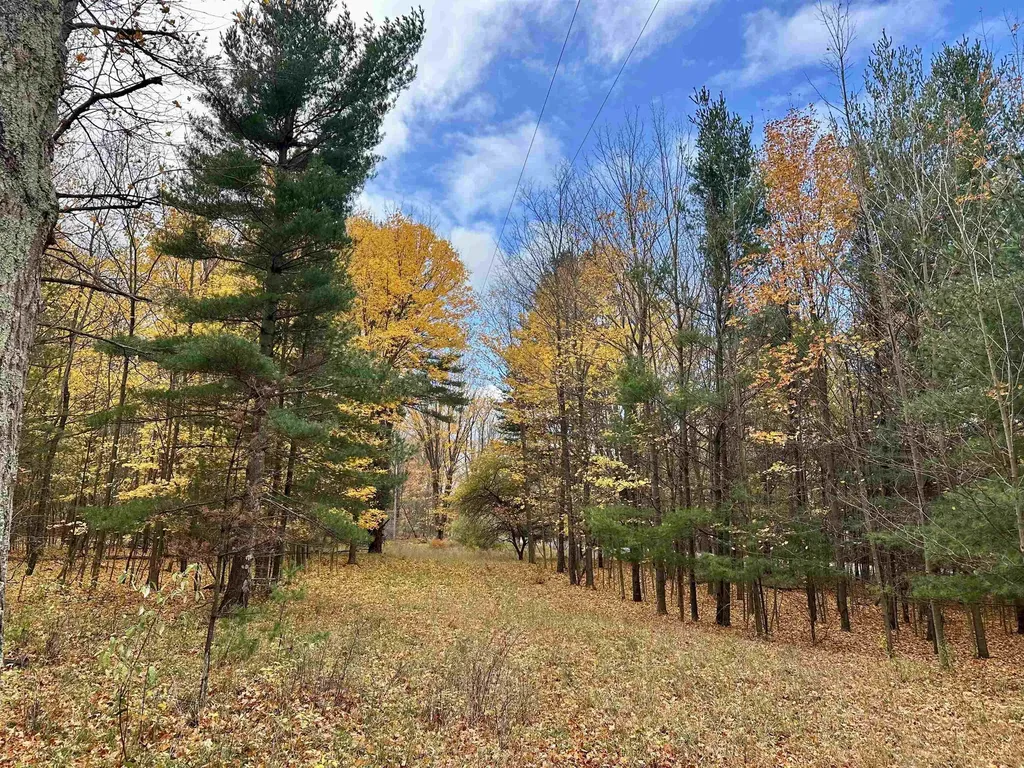 3.64 Acres W Front Street Empire Township MI 49630