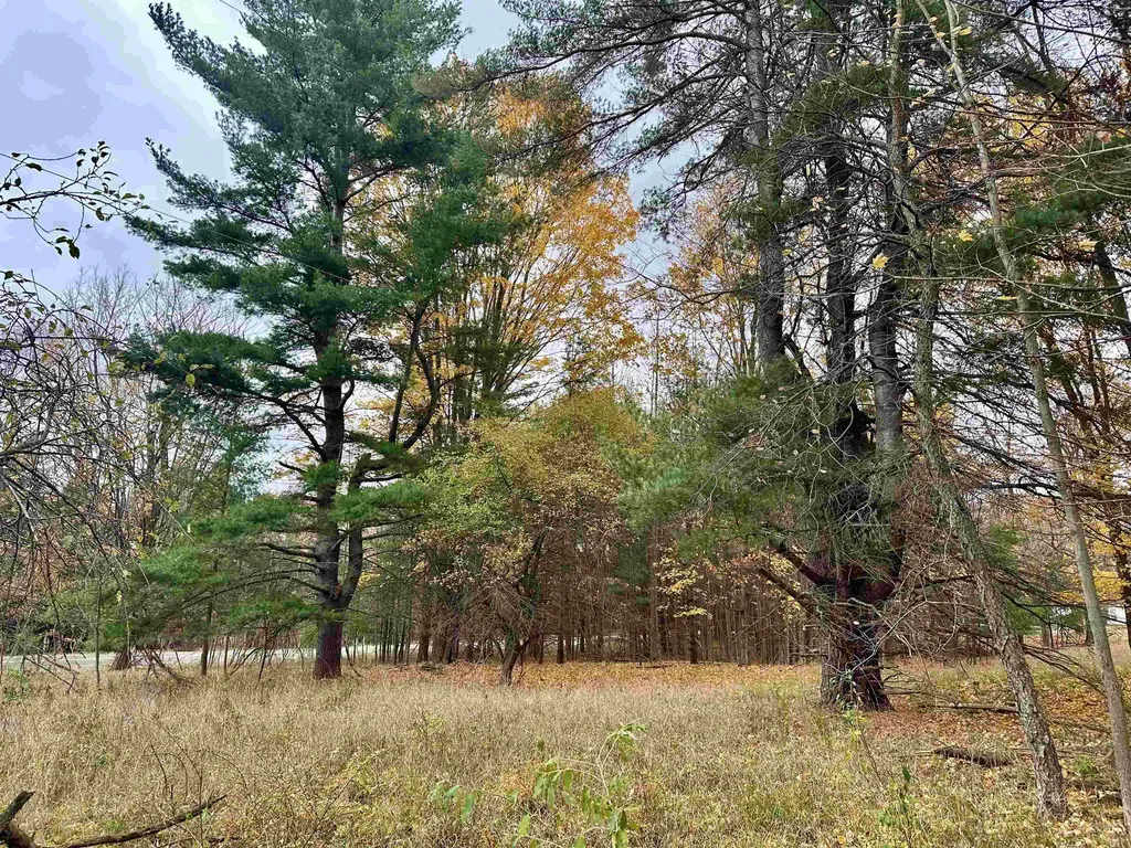 3.64 Acres W Front Street Empire Township MI 49630