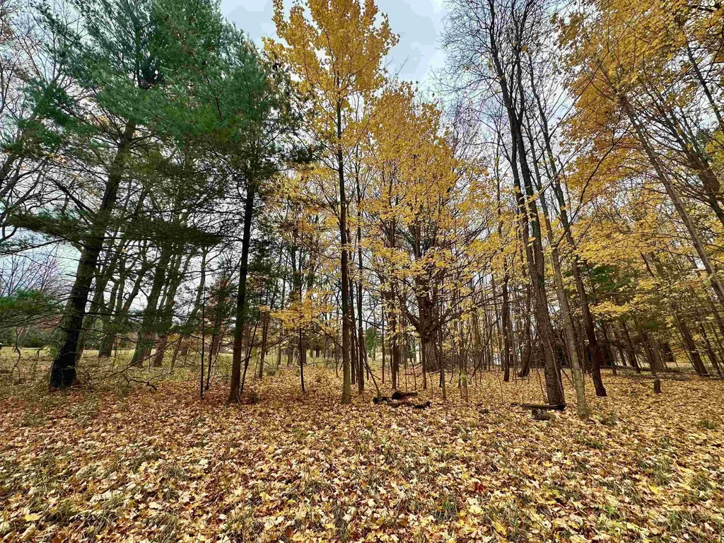 3.64 Acres W Front Street Empire Township MI 49630