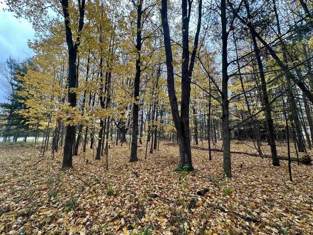 3.64 Acres W Front Street Empire Township MI 49630