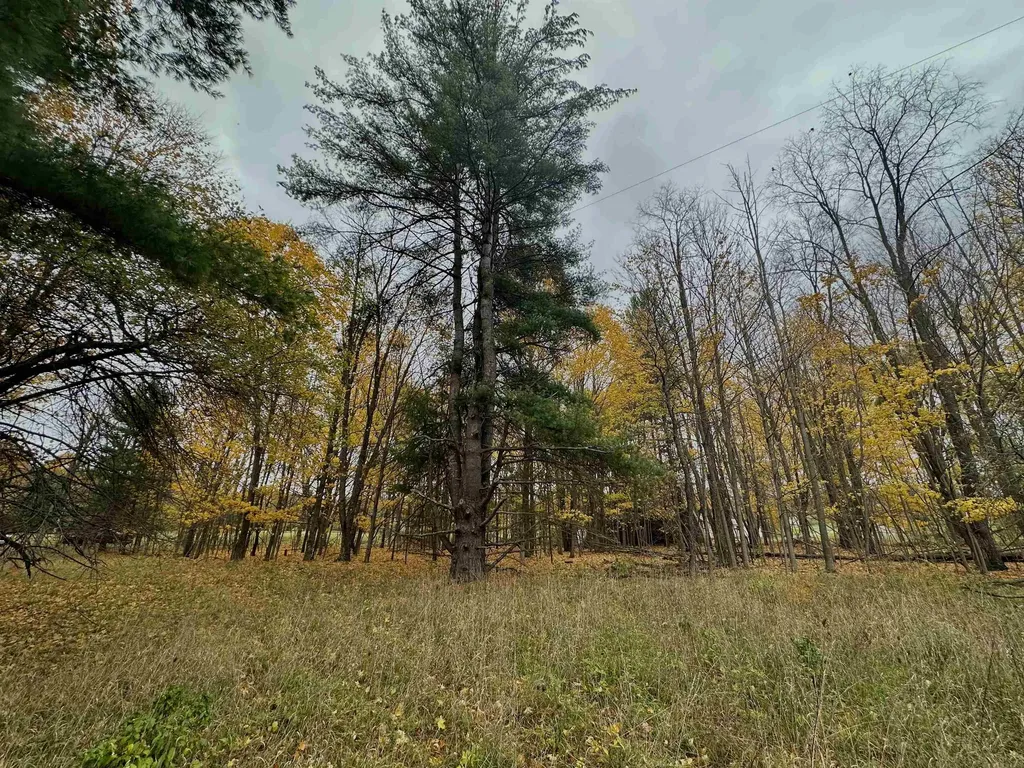 3.64 Acres W Front Street Empire Township MI 49630