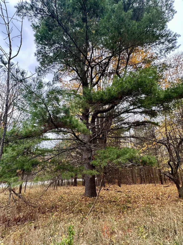 3.64 Acres W Front Street Empire Township MI 49630