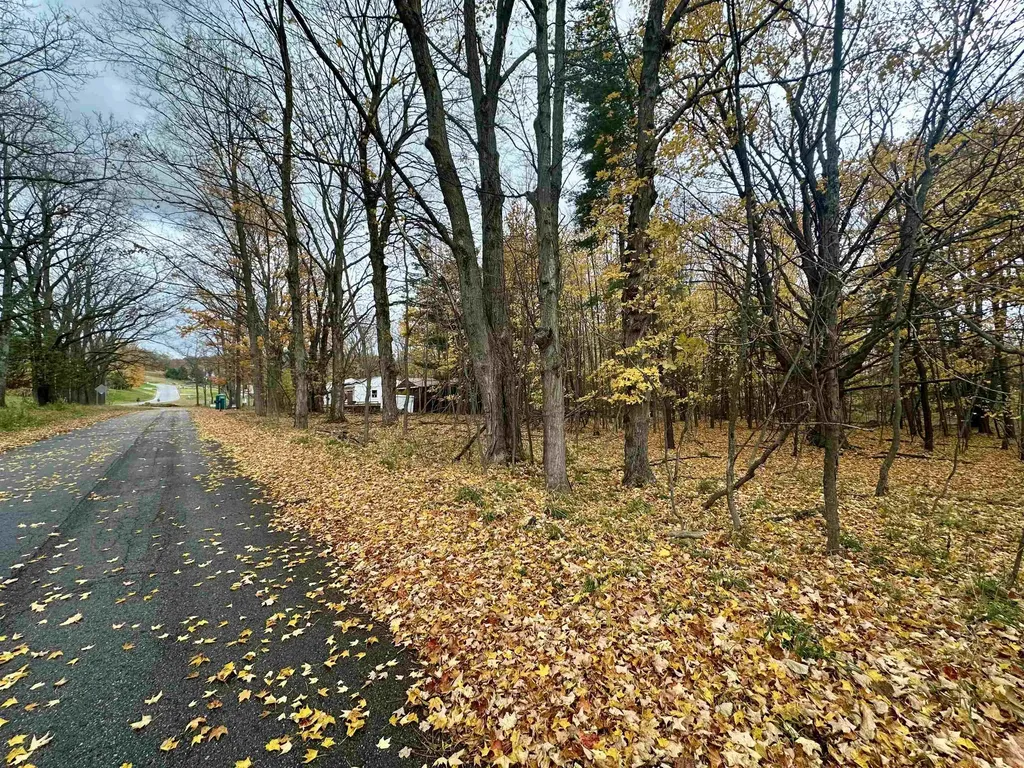 3.64 Acres W Front Street Empire Township MI 49630