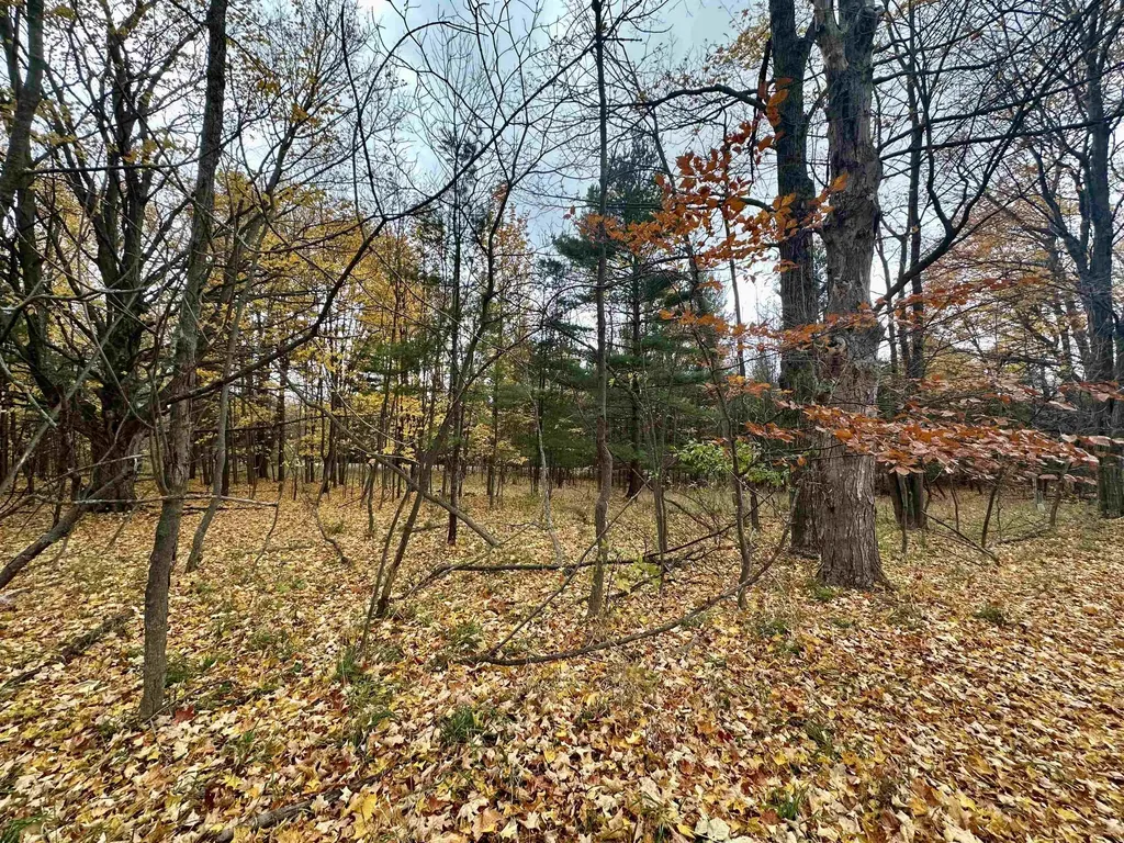 3.64 Acres W Front Street Empire Township MI 49630