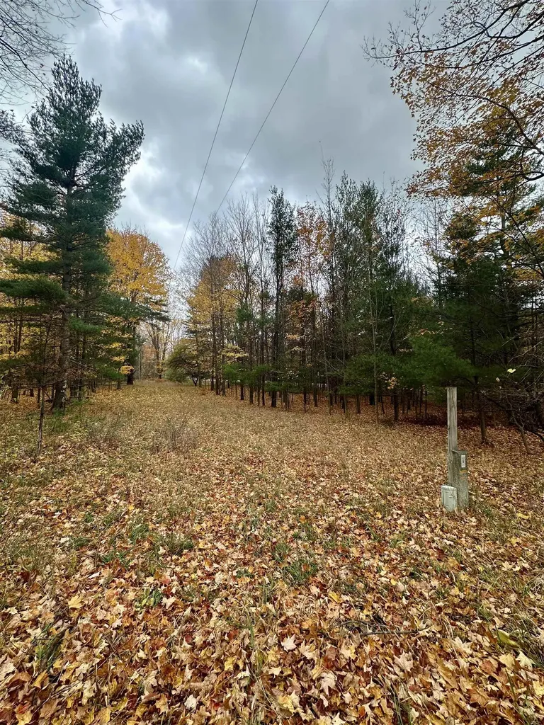 3.64 Acres W Front Street Empire Township MI 49630