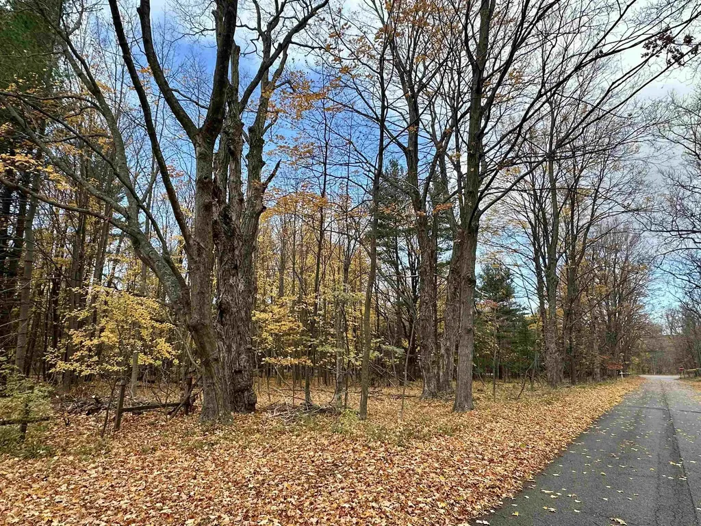 3.64 Acres W Front Street Empire Township MI 49630