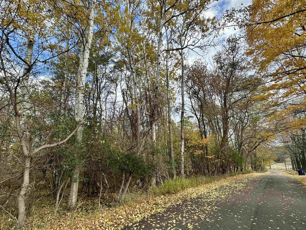 3.64 Acres W Front Street Empire Township MI 49630