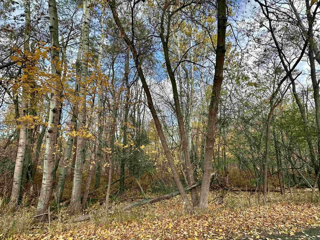 3.64 Acres W Front Street Empire Township MI 49630