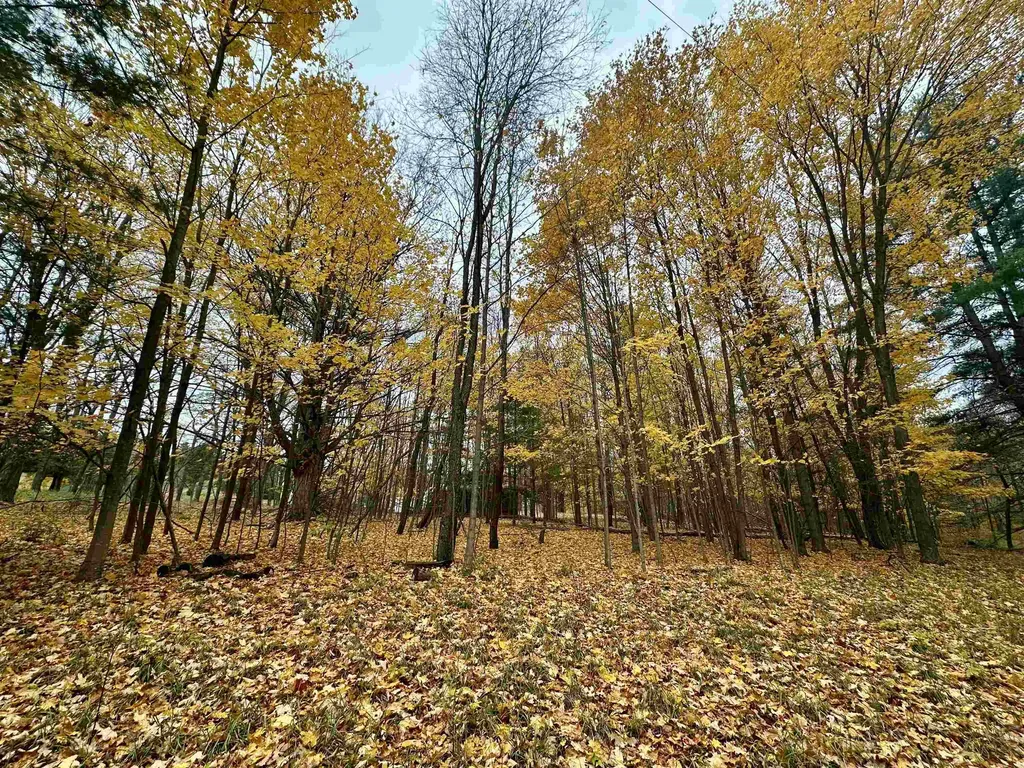3.64 Acres W Front Street Empire Township MI 49630