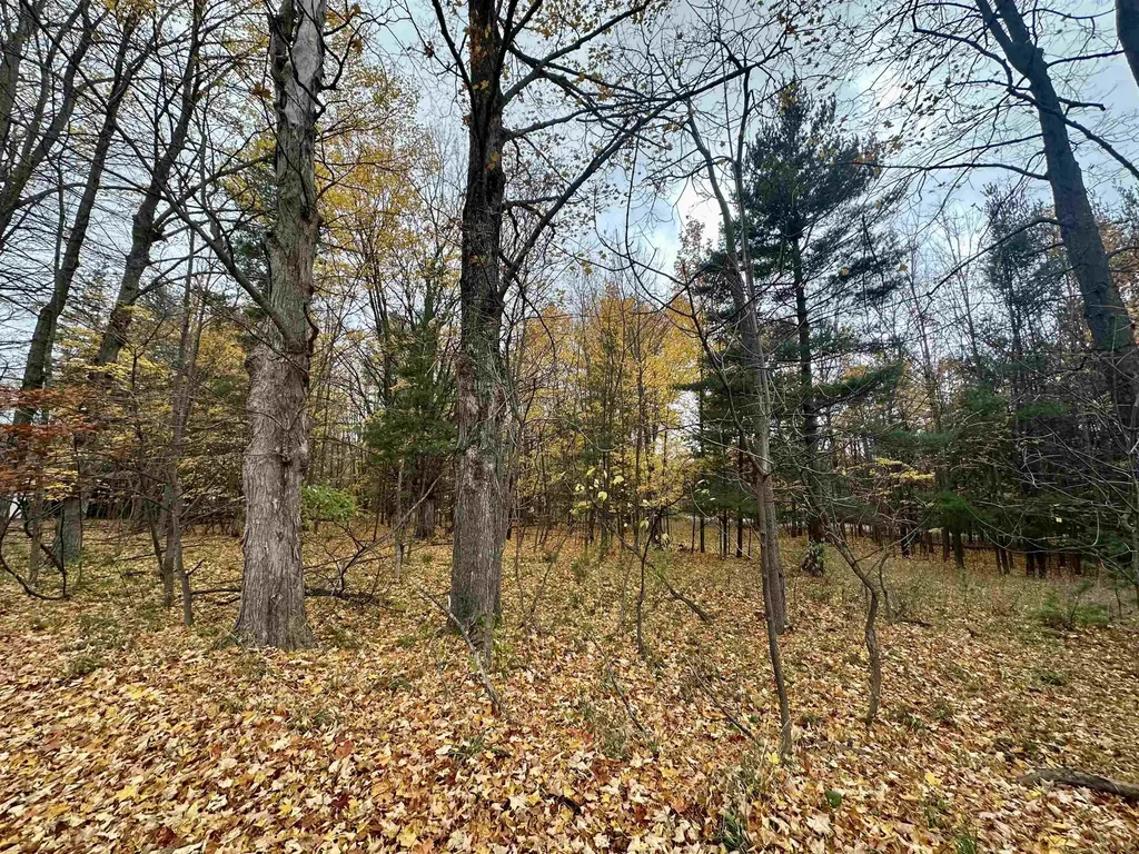 3.64 Acres W Front Street Empire Township MI 49630