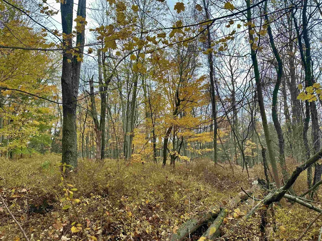 3.64 Acres W Front Street Empire Township MI 49630