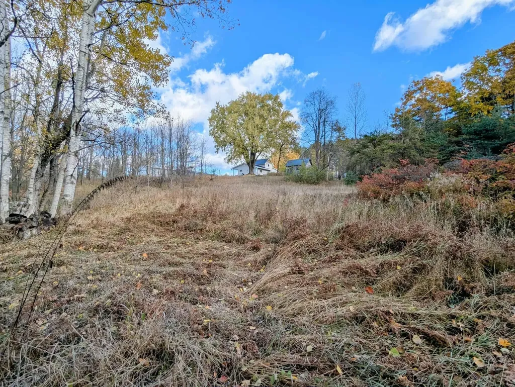 3920 E 14 Road Colfax Township MI 49663