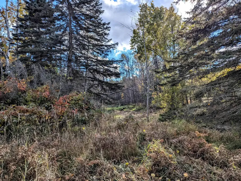 3920 E 14 Road Colfax Township MI 49663