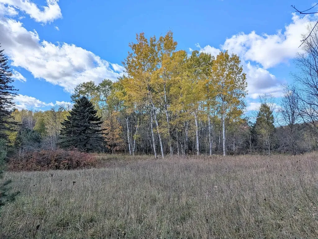 3920 E 14 Road Colfax Township MI 49663