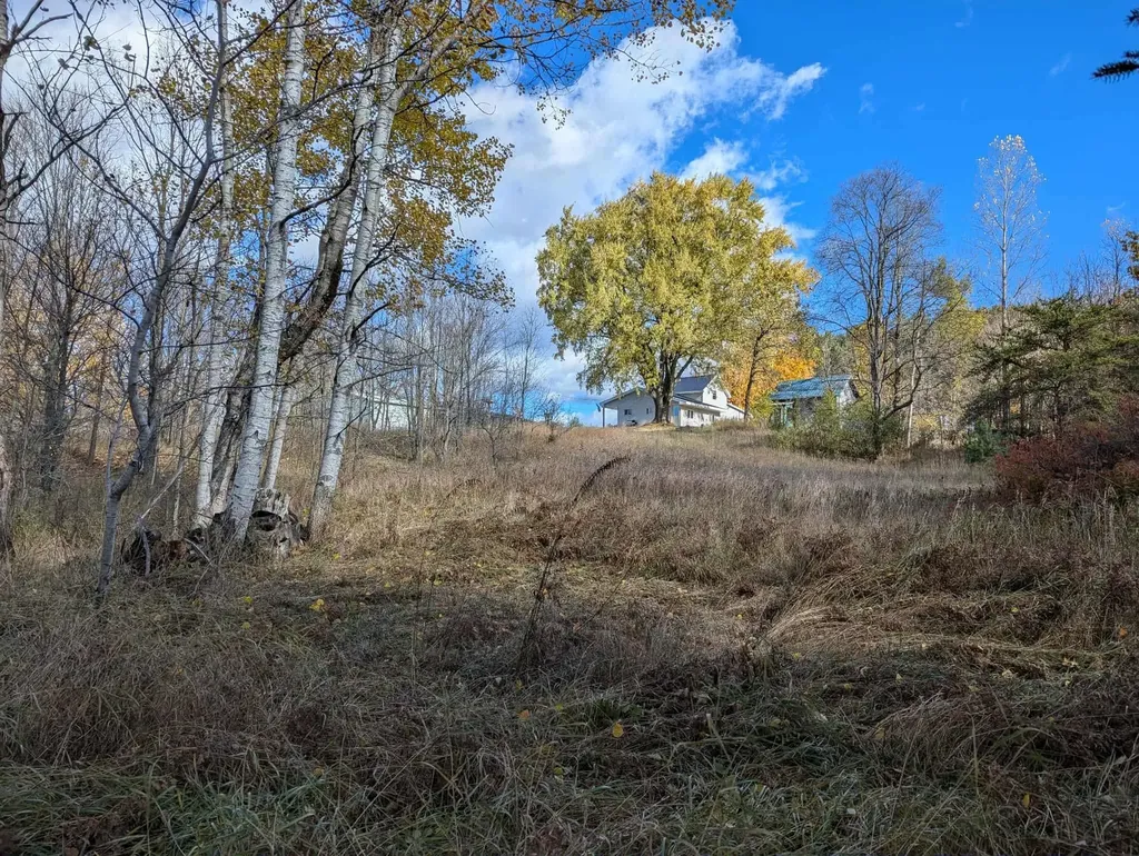 3920 E 14 Road Colfax Township MI 49663