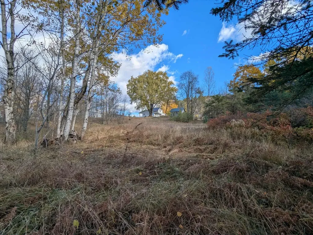 3920 E 14 Road Colfax Township MI 49663