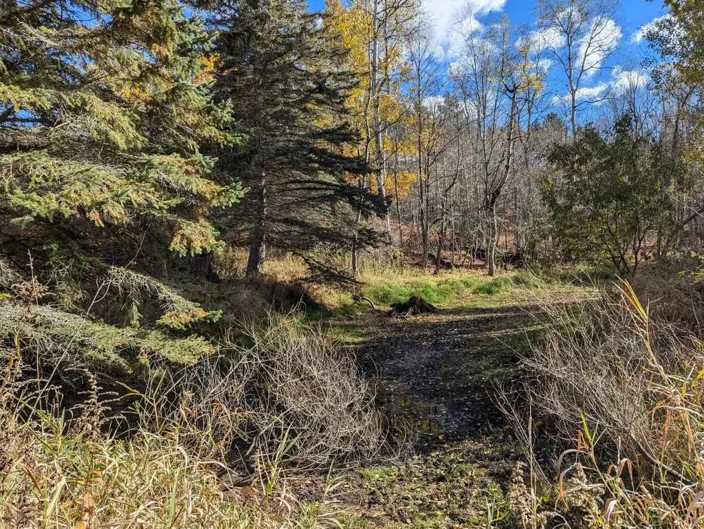 3920 E 14 Road Colfax Township MI 49663