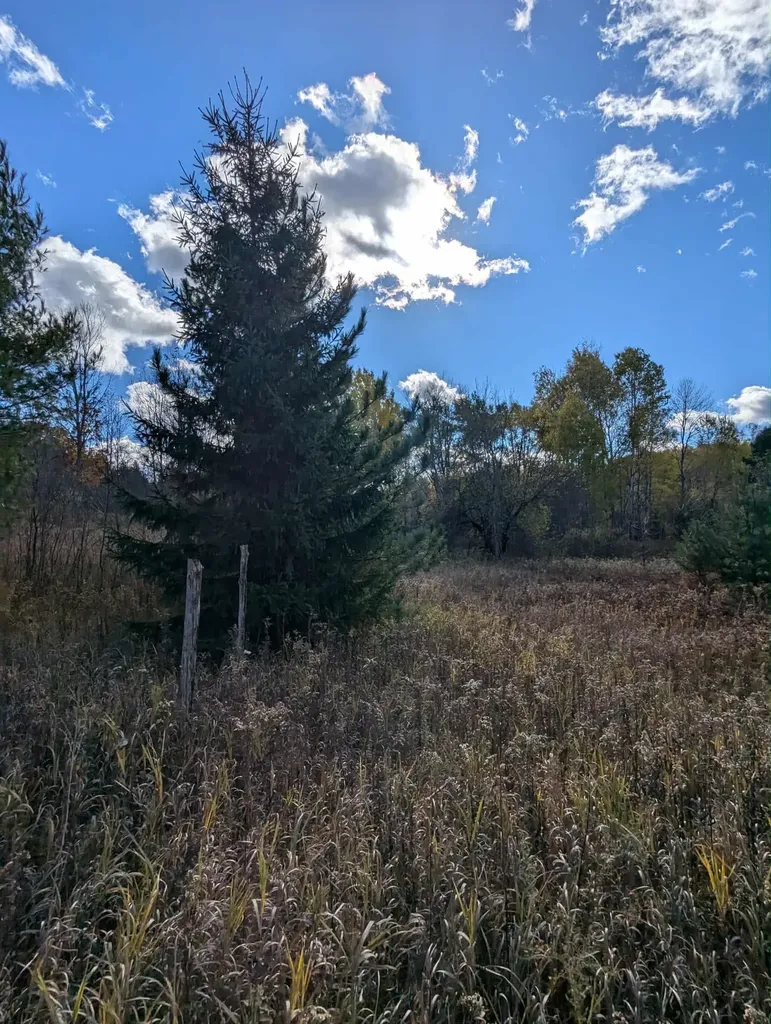 3920 E 14 Road Colfax Township MI 49663