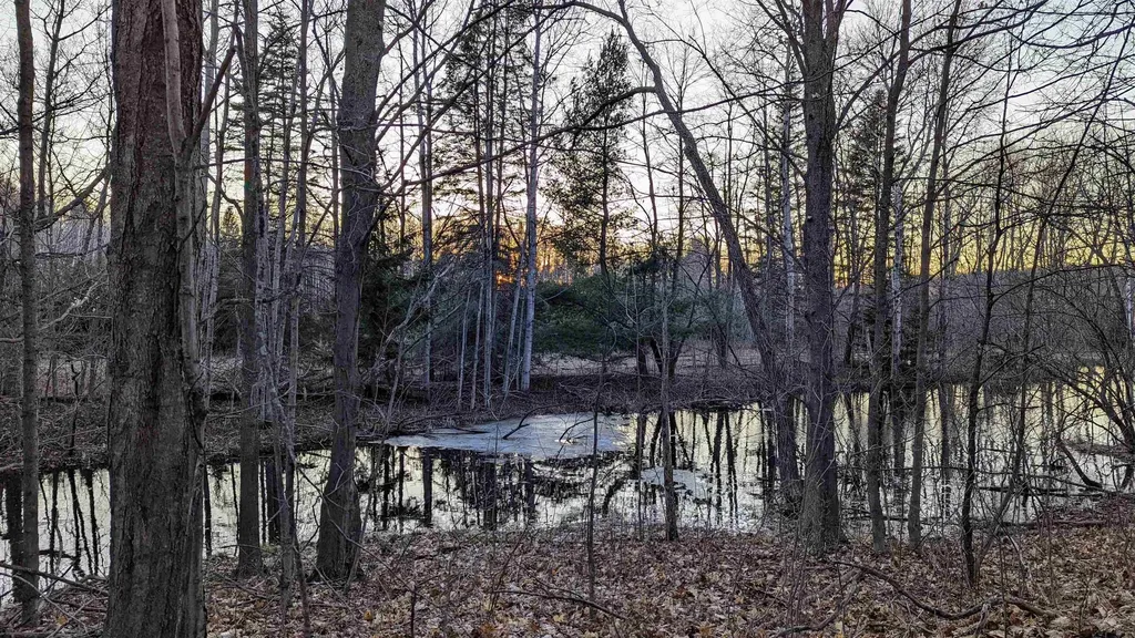 3920 E 14 Road Colfax Township MI 49663
