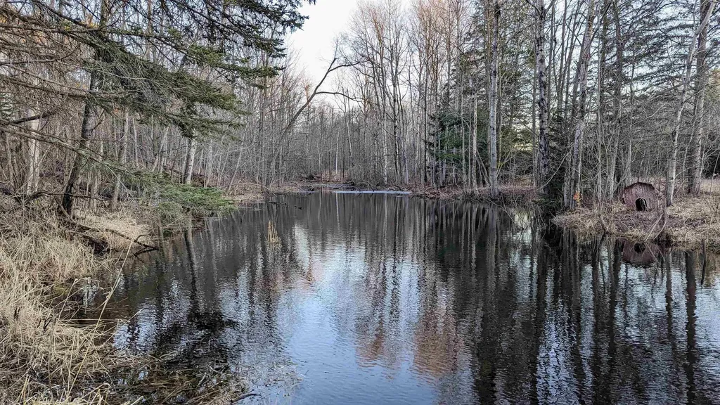 3920 E 14 Road Colfax Township MI 49663