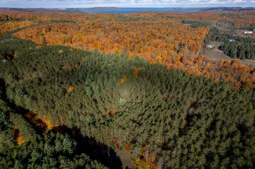 W Timber Lane Kasson Township MI 49630