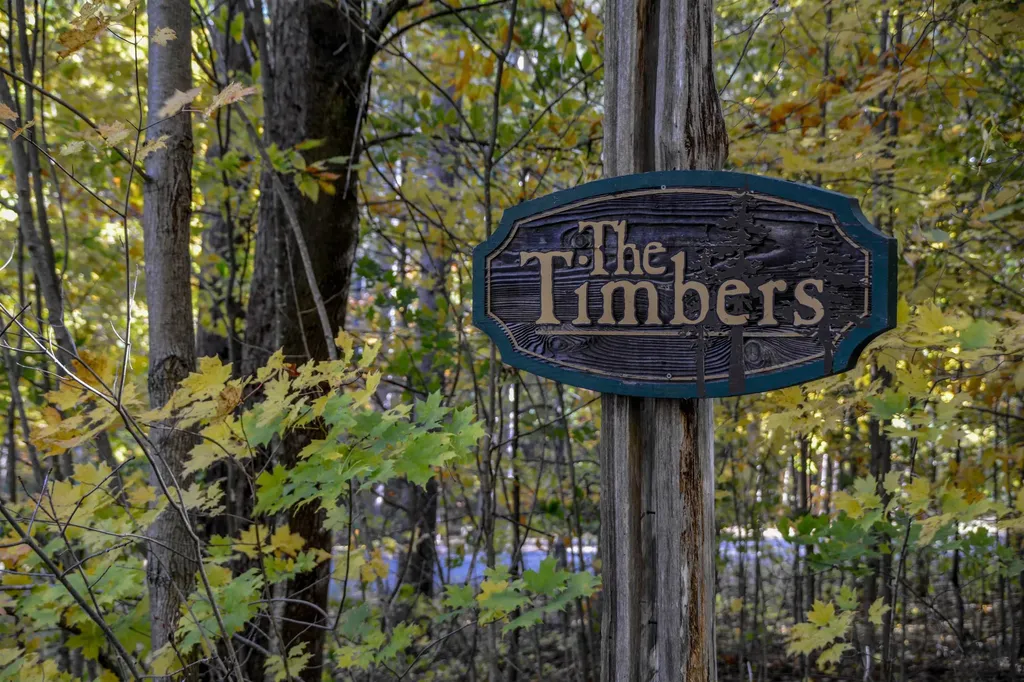 W Timber Lane Kasson Township MI 49630
