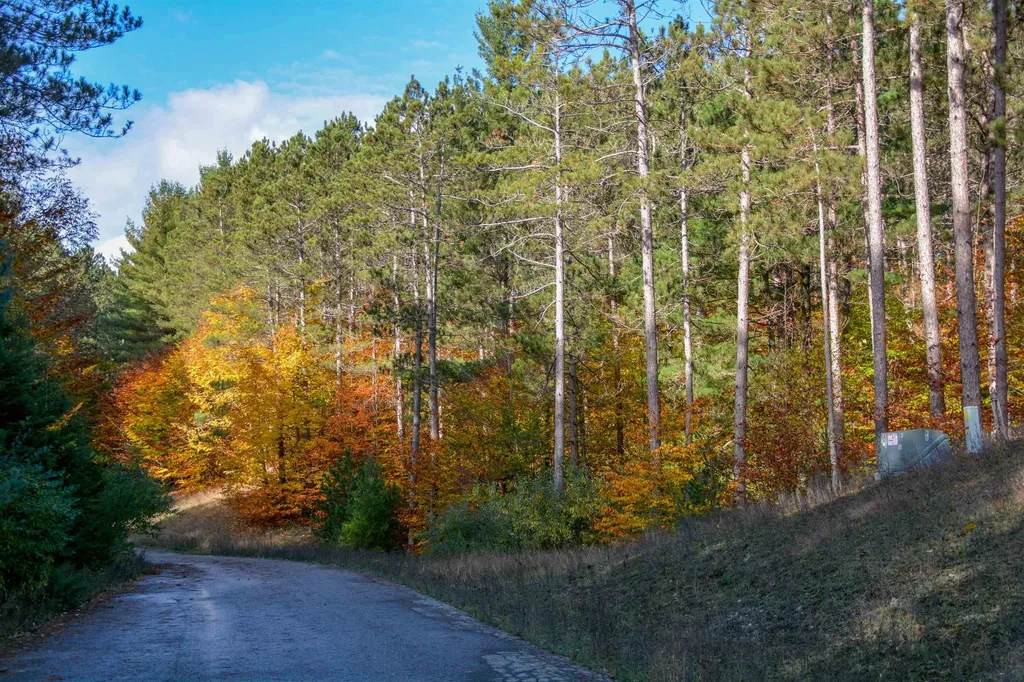 W Timber Lane Kasson Township MI 49630
