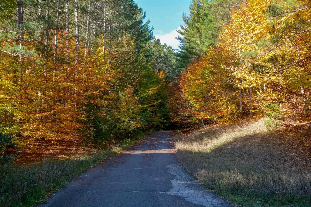 W Timber Lane Kasson Township MI 49630