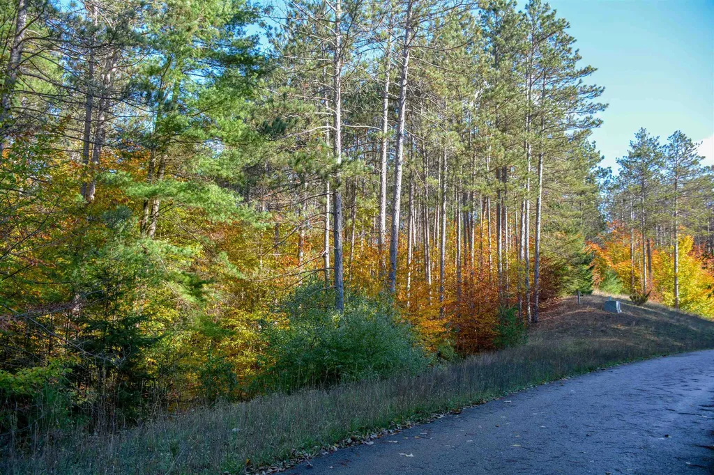 W Timber Lane Kasson Township MI 49630