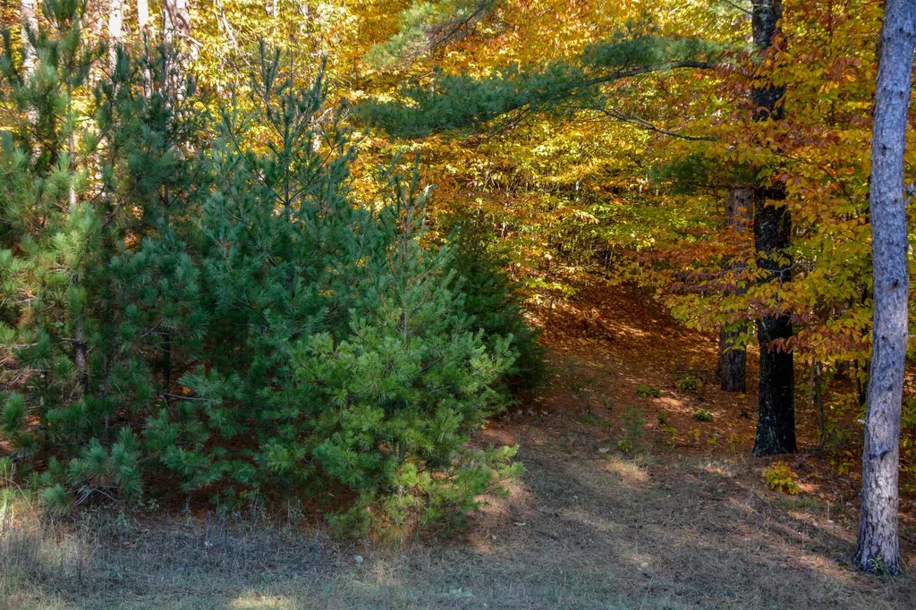 W Timber Lane Kasson Township MI 49630