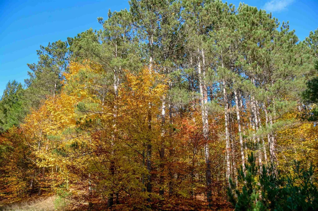 W Timber Lane Kasson Township MI 49630