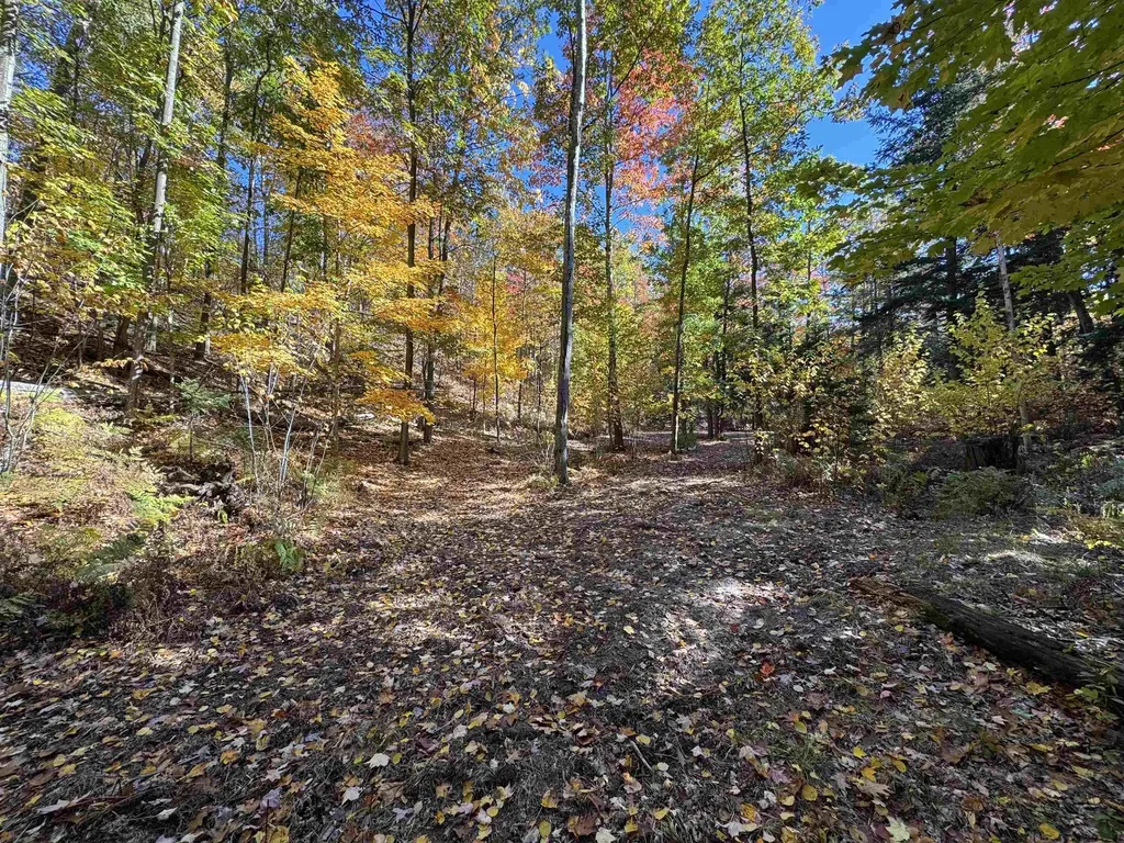 6 Acres N Manitou Trail Leland Township MI 49654