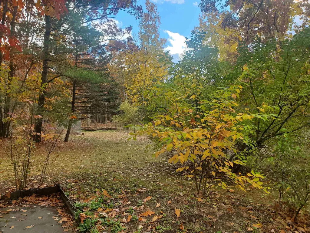 7323 Karlin Road Grant Township MI 49643