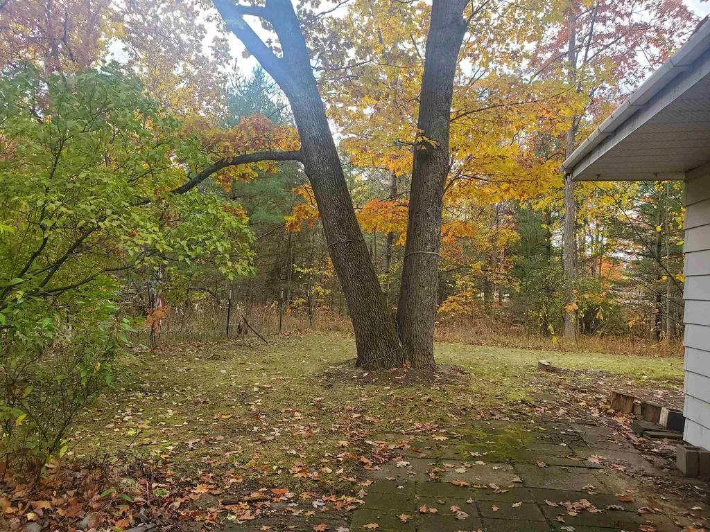 7323 Karlin Road Grant Township MI 49643